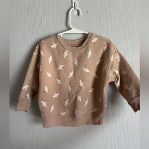 Kids Beige bird Print cotton Sweatshirt